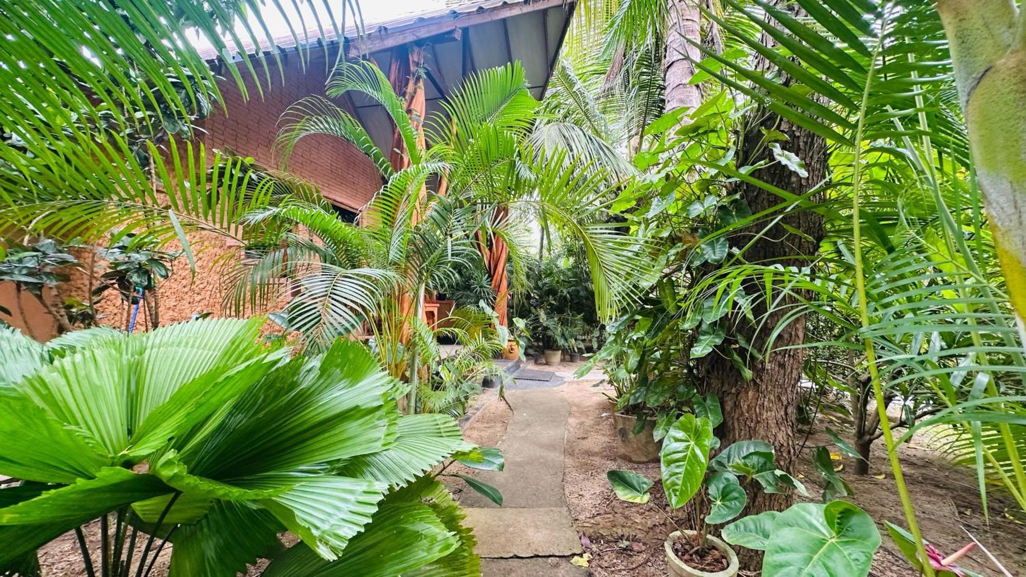 Ama Eco Lodge Sigiriya Bagian luar foto