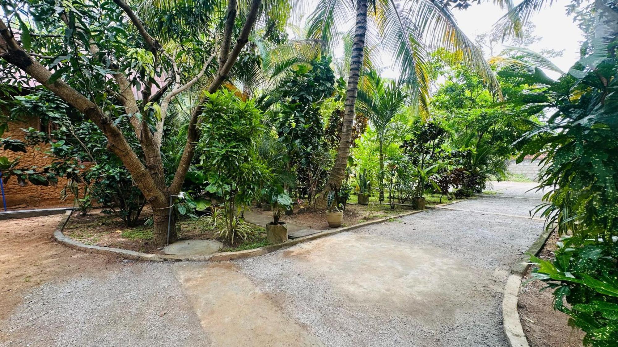 Ama Eco Lodge Sigiriya Bagian luar foto